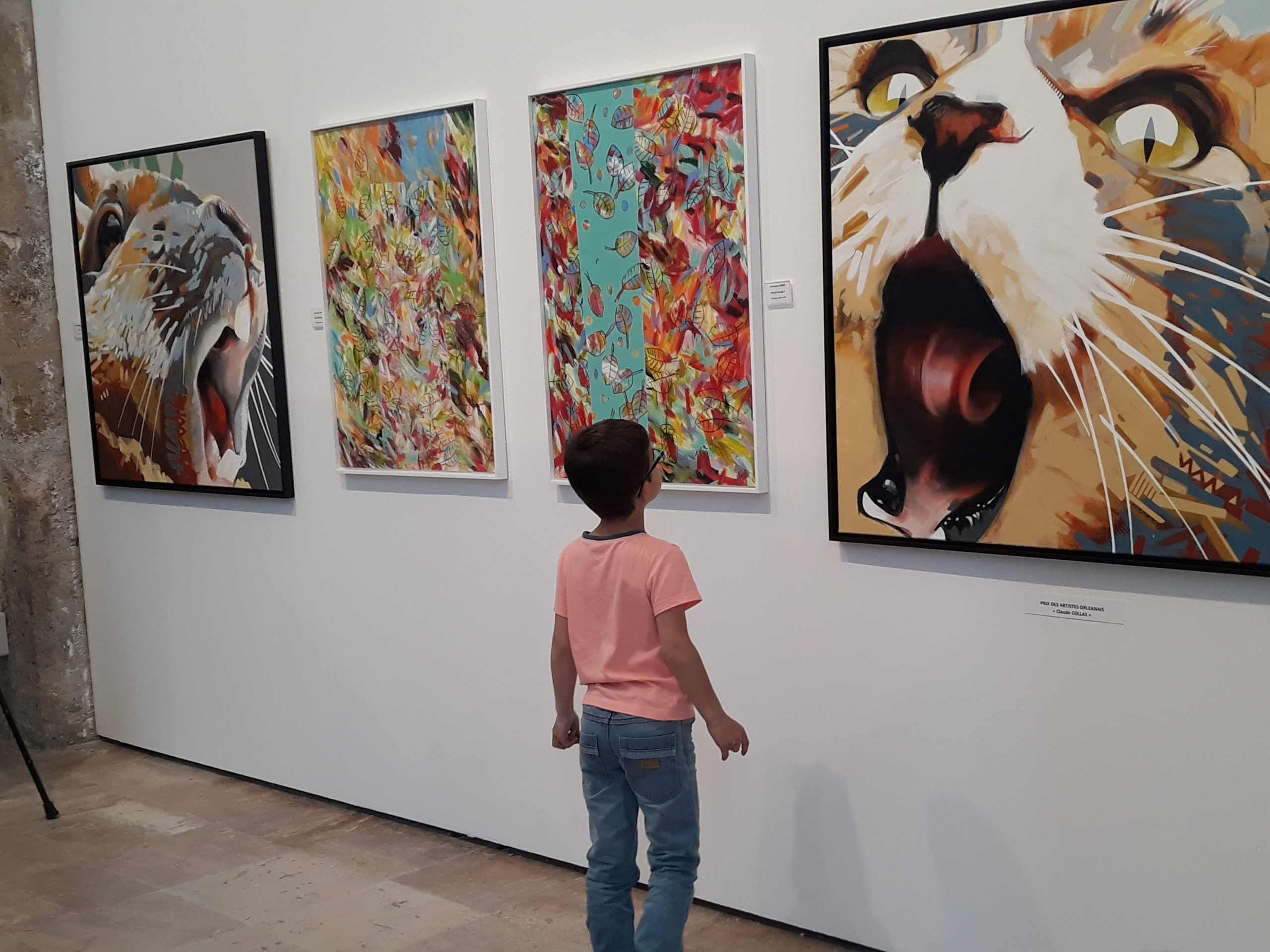 salon des artistes orléanais